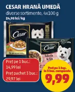 Penny Cesar hrană umedă Ofertă