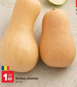 Carrefour Market Dovleac plăcintar Ofertă