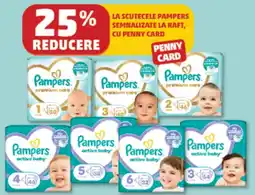 Penny Pampers premium care Ofertă
