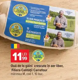 Carrefour Market Filiera Calității Carrefour Ouă de la găini crescute în aer liber Ofertă