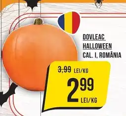 Mega Image Dovleac halloween Ofertă