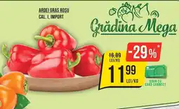 Mega Image Grădina Mega Ardei Gras Roșu Cal. I, Import Ofertă
