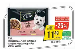 Mega Image Cesar hrană completă pentru câini adulți, selectii cu pui și legume și vită și morcovi Ofertă