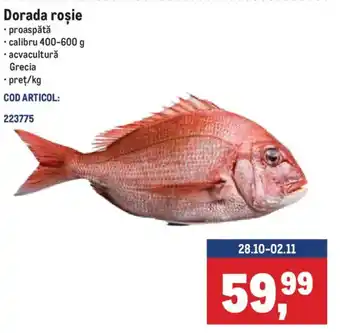 Dorada roșie