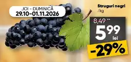 PROFI Struguri negri Ofertă