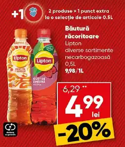 PROFI Lipton băutură răcoritoare Ofertă