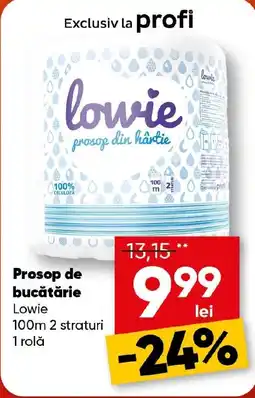 PROFI Lowie prosop din hârtie Ofertă