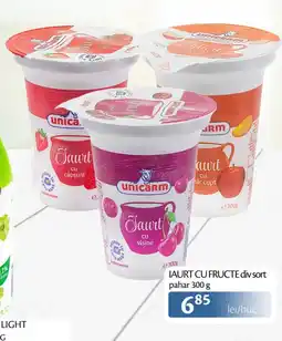 Unicarm Unicarm iaurt cu fructe Ofertă