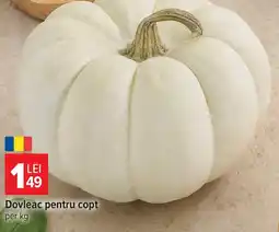 Carrefour Dovleac pentru copt Ofertă
