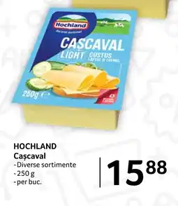 Selgros Hochland Cașcaval Ofertă