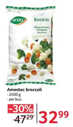 Selgros ardo broccoli mix Ofertă