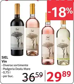 Selgros Siel vin Ofertă