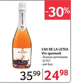 Selgros Cai de la letea vin spumant Ofertă