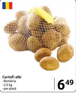 Selgros Cartofi albi Ofertă