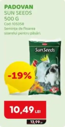 Animax Padovan sun seeds Ofertă