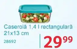 Selgros Caserolă rectangulară Ofertă