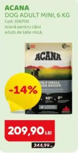 Animax Acana dog adult mini Ofertă