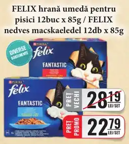 CBA felix hrană umedă pentru pisici Ofertă