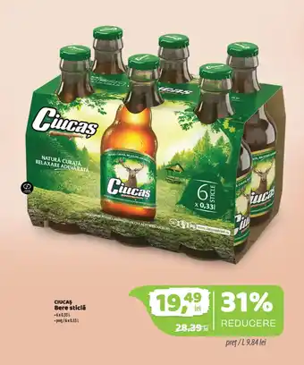 Ciucas Bere sticlă