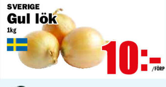 Gul Lök