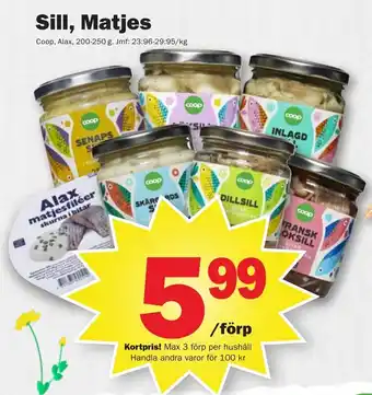 Pekås Sill, matjes erbjuda