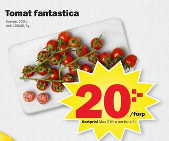 Tomat fantastica