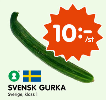 Tempo Svensk Gurka erbjuda