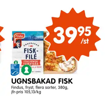 Ugnsbakad Fisk 380g