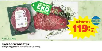 Ekologisk Nötstek