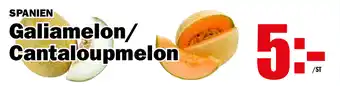 Galiamelon/Cantaloupmelon