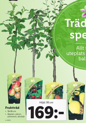 Lidl Fruktträd erbjuda