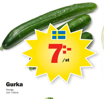 Pekås Gurka erbjuda
