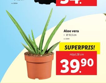 Lidl Aloe vera erbjuda