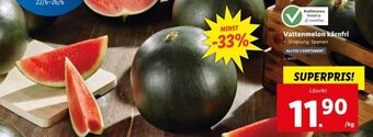 Lidl Vattenmelon kärnfri erbjuda