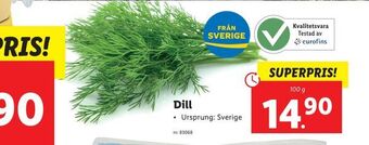 Lidl Dill erbjuda