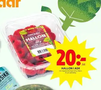 ICA Kvantum Hallon i Ask 125g erbjuda