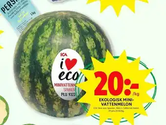 Ekologisk Mini Vattenmelon 1kg