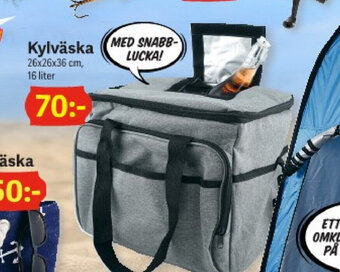 DollarStore Kylväska erbjuda