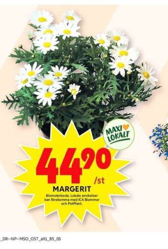 ICA Maxi Blomsterboda plantor erbjuda