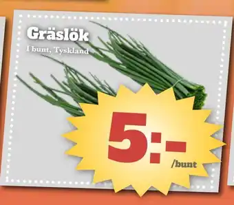 Gräslök