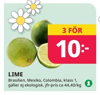 Tempo Lime erbjuda