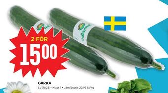 Willys Hemma Gurka erbjuda