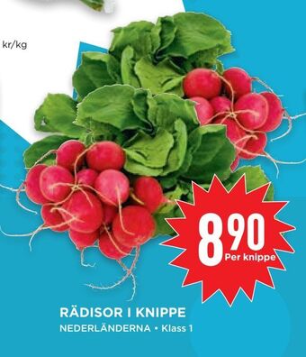 Willys Hemma Rädisor i knippe erbjuda