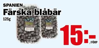 Färska blåbär