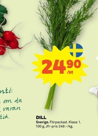 Dill