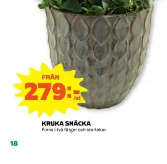 Kruka Snäcka