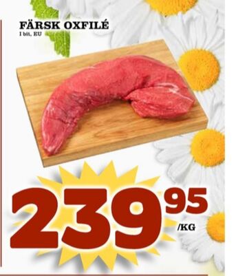 oxfilé