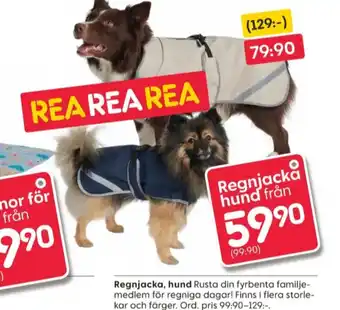 Fladen fishing hundklädsel