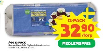 Stora Coop ÄGG 12-PACK erbjuda
