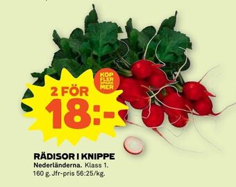 Stora Coop Rädisor i knippe erbjuda